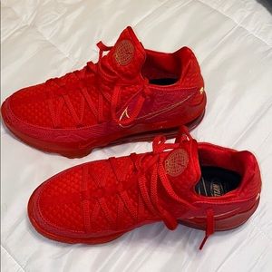 NIKE X TITAN LEBRON 17 LOW AGIMAT BASKETBALL SHOES